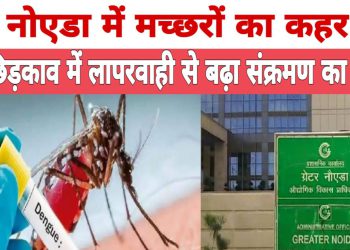 ग्रेटर नोएडा में मच्छरों का कहर, दवा छिड़काव में लापरवाही से बढ़ा संक्रमण का खतरा