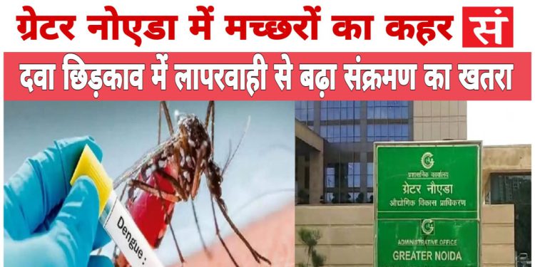 ग्रेटर नोएडा में मच्छरों का कहर, दवा छिड़काव में लापरवाही से बढ़ा संक्रमण का खतरा