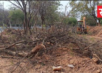 ग्रेटर नोएडा में विकास के नाम पर पर्यावरण की बलि: पेड़ों की कटाई विकास की कीमत या लापरवाही ?