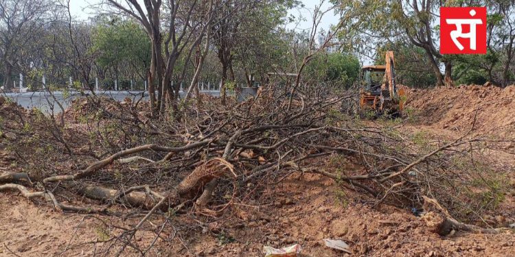 ग्रेटर नोएडा में विकास के नाम पर पर्यावरण की बलि: पेड़ों की कटाई विकास की कीमत या लापरवाही ?