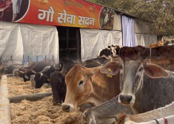 पशुओं के उपचार एवं उनके व्यवहार निरीक्षण के लिए पशु चिकित्सक की तैनाती