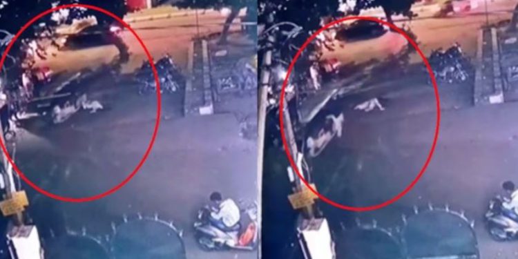 लखनऊ में ई-रिक्शा में छात्रा से दरिंदगी की कोशिश, जान बचाने लिए लगा दी छलांग; Video वायरल