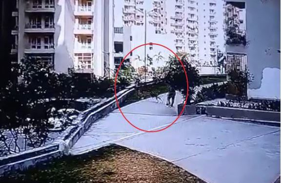 ग्रेटर नोएडा की सोसाइटी में कुत्ते के झपटने से 10 फीट नीचे गिरी महिला, रीढ़ की हड्डी टूटी