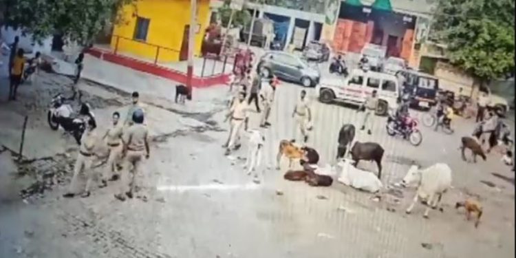 कानपुर: आरोपी को पकड़ने गई पुलिस टीम की छापेमारी के पहले दरोगा ने आरोपी को भगाया, CCTV में कैद हुई घटना