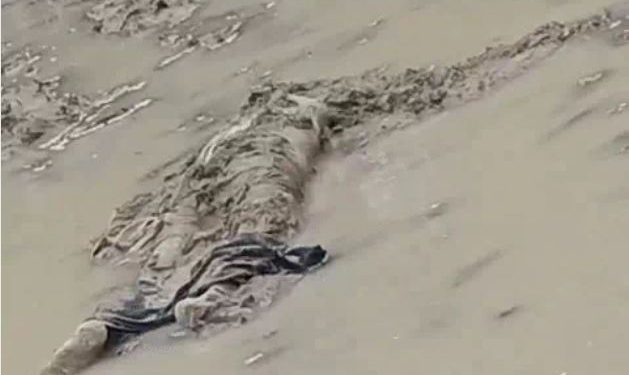 शाम को शराब पी, सुबह खेत में मिले प्रेमी-प्रेमिका के शव, मर्डर मिस्ट्री में उलझी पुलिस