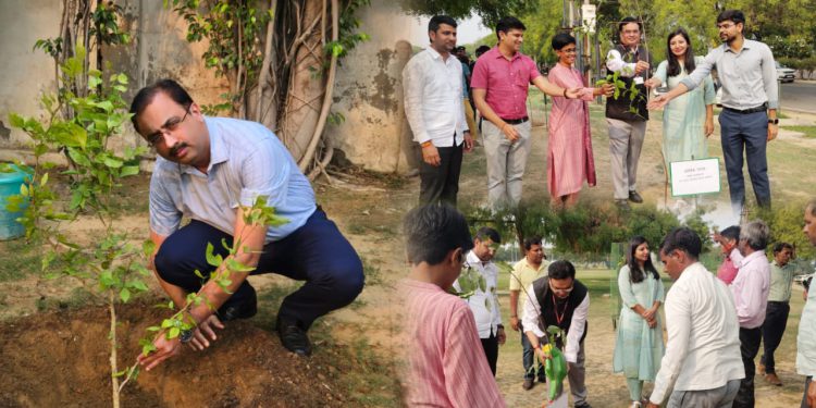 ग्रेनो प्राधिकरण ने विश्व पर्यावरण दिवस पर किया पौधरोपण, दस हजार से ज्यादा पौधे लगाकर पर्यावरण बचाने का दिया संदेश