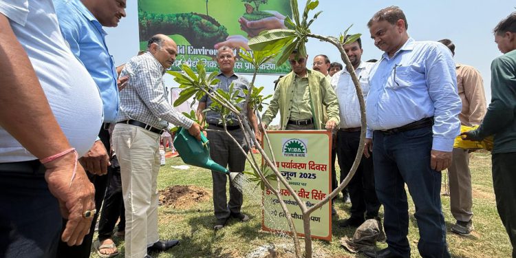 यमुना प्राधिकरण ने विश्व पर्यावरण दिवस पर किया वृक्षारोपण, 1.30 लाख पौधे लगाने का लक्ष्य