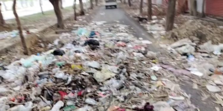 ग्रेनो प्राधिकरण ने रोड पर खुले में कूड़ा मिलने पर अल्सटोनिया सोसाइटी पर 48 हजार रुपये का जुर्माना