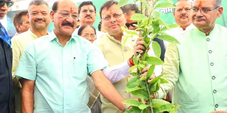 उत्तराखंड में लोकपर्व हरेला की धूम, सीएम धामी ने लगाया रुद्राक्ष का पौधा, 5 लाख पौध रोपण का लक्ष्य