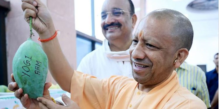 योगी आम देखकर मुस्कुराए यूपी के CM; उत्तर प्रदेश आम महोत्सव में 800 से अधिक वैरायटी की प्रदर्शनी
