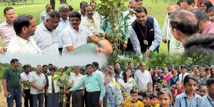एक पौधा मां के नाम, अभियान से प्राधिकरण ने ग्रेनो को हरा-भरा बनाने का लिया संकल्प