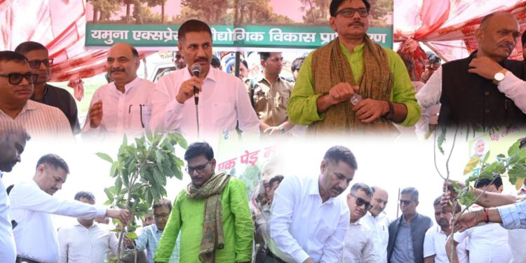 यमुना प्राधिकरण क्षेत्र में एक दिन में 56,660 पौधे लगाकर मनाया गया वृक्षारोपण जन महोत्सव