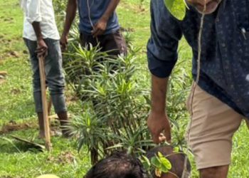 ग्रेटर नोएडा प्राधिकरण के उद्यान विभाग ने सूखे पौधे हटाए, नए पौधे लगाए