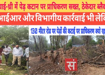 सेक्टर चाई-थ्री में पेड़ कटान पर प्राधिकरण सख्त, ठेकेदार ब्लैकलिस्ट – एफआईआर और विभागीय कार्रवाई भी लेकिन ?