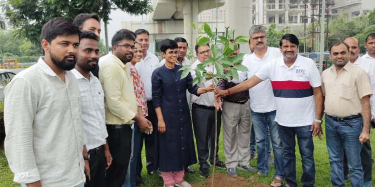 ग्रेनो प्राधिकरण ने सेक्टर 105 मीटर रोड पर किए पौधरोपण