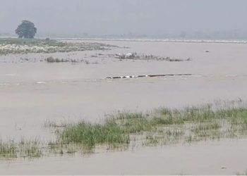 यमुना नदी में अचानक से फट गई गैस पाइपलाइन, 35 फीट ऊपर उठा पानी, टला बड़ा हादसा