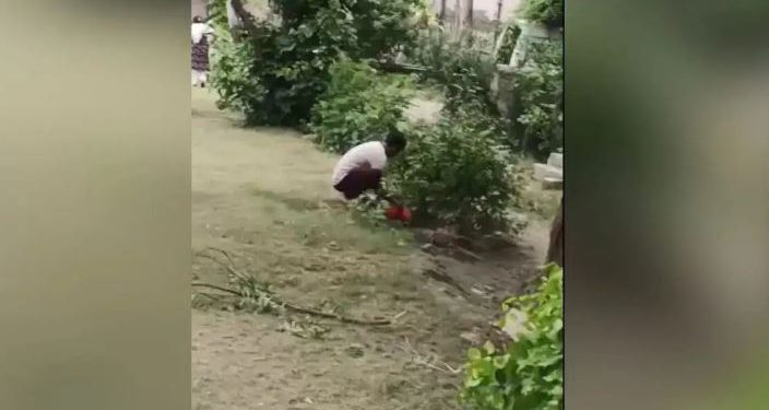 नोएडा में अस्पताल के बाहर तीन महीने के भ्रूण को कुत्ते ने नोचा