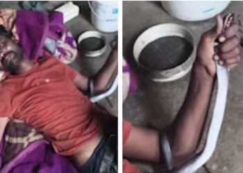 ललितपुर: सो रहे युवक के ऊपर चढ़ा सांप, 30 मिनट तक मसलता रहा फन, क्या बची जान?