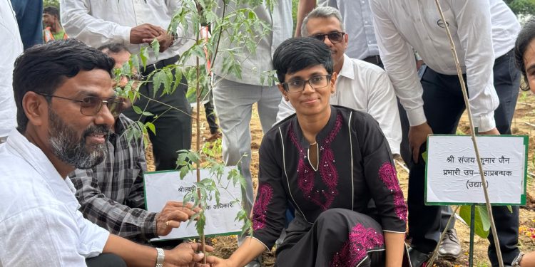 ग्रेनो प्राधिकरण की पहल पर सेक्टर 10 में हुआ पौधरोपण, दो एकड़ में 15 हजार पौधे लगे