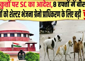 आवारा कुत्तों पर SC का आदेश, 8 हफ्तों में बीस हजार आवारा कुत्तों को शेल्टर भेजना ग्रेनो प्राधिकरण के लिए बड़ी चुनौती