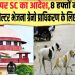 आवारा कुत्तों पर SC का आदेश, 8 हफ्तों में बीस हजार आवारा कुत्तों को शेल्टर भेजना ग्रेनो प्राधिकरण के लिए बड़ी चुनौती