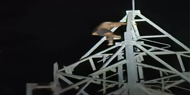 औरैया में शोले का ‘वीरू’… पहली पत्नी के रहते दूसरी लाने की जिद, टावर पर चढ़ गया युवक; कहा- शादी कराओ