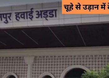 इंडिगो की फ्लाइट में चूहा, यात्रियों में हड़कंप… 3 घंटे लेट भरी उड़ान