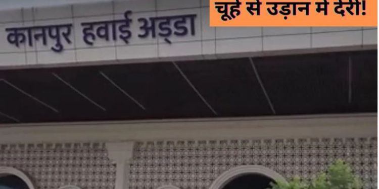 इंडिगो की फ्लाइट में चूहा, यात्रियों में हड़कंप… 3 घंटे लेट भरी उड़ान