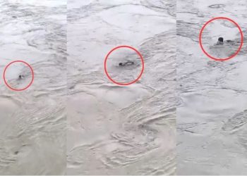 बागपत में ‘मौत की शर्त’, 500 रुपये के लिए उफनती यमुना में कूदा युवक