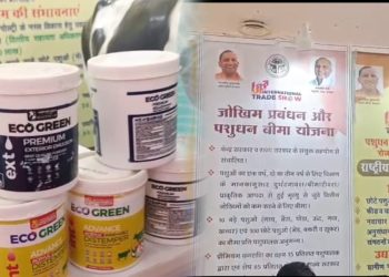 यूपी की महिलाएं बना रहीं गाय के गोबर से पेंट, आत्मनिर्भरता और पर्यावरण संरक्षण की मिसाल