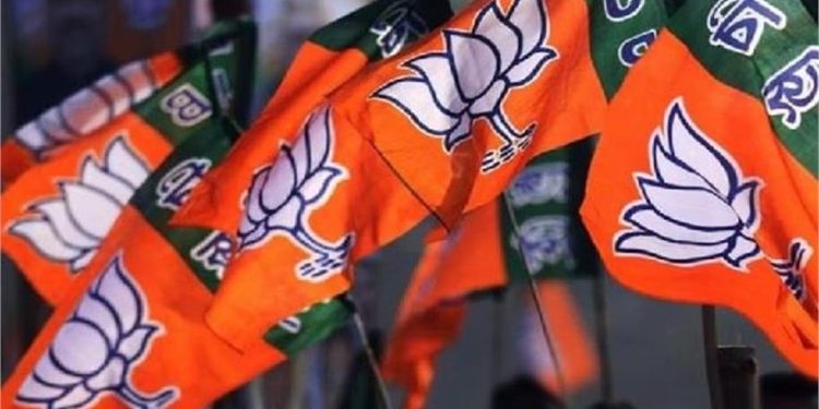 भाजपा ने घोषित किये युवा मोर्चा के अध्यक्ष और महामंत्री, देखें पूरी लिस्ट