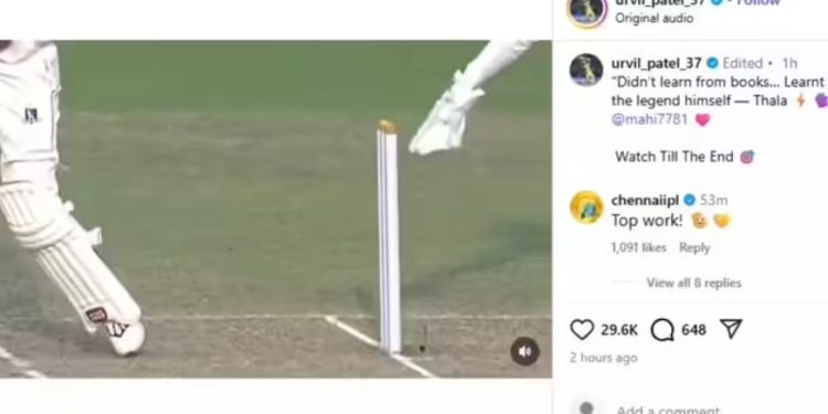 CSK को मिल गया धोनी का रिप्लेसमेंट! ‘नेक्स्ट थाला’ बन रहा है ये यंग विकेटकीपर, पलक झपकते ही उड़ा दी बेल्स