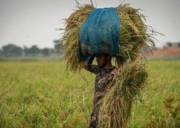 दीवाली से पहले किसानों के लिए आज बड़ा दिन, पीएम मोदी करेंगे दो योजनाओं का शुभारंभ