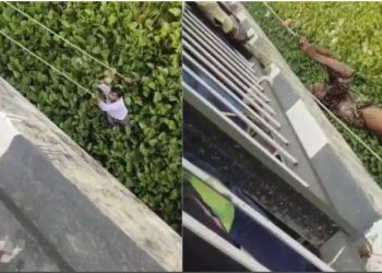 पुल से लगाई छलांग, जलकुंभी ने बचाई जान… उन्नाव में सुसाइड का ये Video कर देगा हैरान