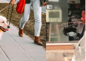 वाराणसी में स्वच्छता के नए रूल जान लें, सड़क पर थूका तो 1000 का जुर्माना, कूड़ा फेंका तो…