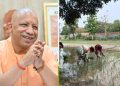 यूपी के किसानों को सौगात, 10 लाख बीज मिनी किट देगी योगी सरकार, जानिए कितना मिलेगा अनुदान