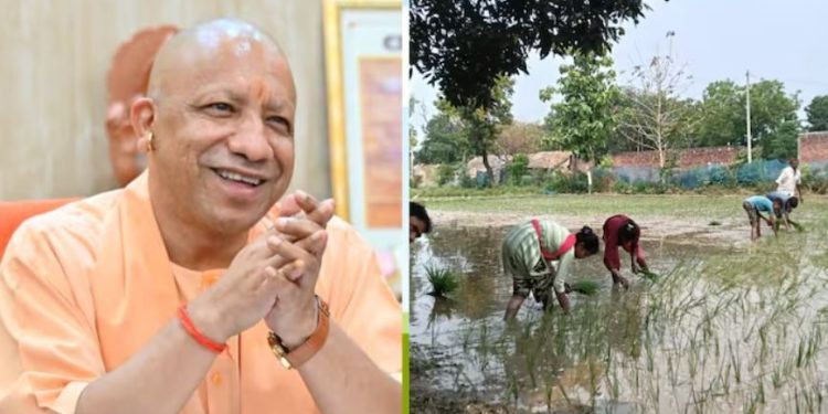 यूपी के किसानों को सौगात, 10 लाख बीज मिनी किट देगी योगी सरकार, जानिए कितना मिलेगा अनुदान