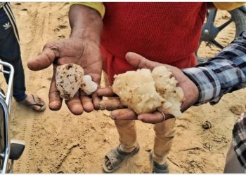 ‘आसमान से गिरा 20 किलो वजनी बर्फ का टुकड़ा’, बदायूं में ईंट-भट्ठे पर काम कर रहे मजदूरों का दावा, प्रशासन जांच में जुटा