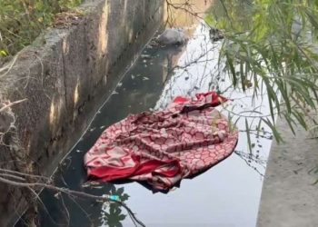 कटे हाथ और गर्दन… नोएडा के नाले में मिला महिला का निर्वस्त्र शव, हाल देख पुलिस भी सन्न