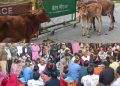 ग्रेटर नोएडा प्राधिकरण गेट पर सेव एनिमल टीम का जोरदार प्रदर्शन, घायल गोवंश के लिए नज़दीकी गौशाला की मांग