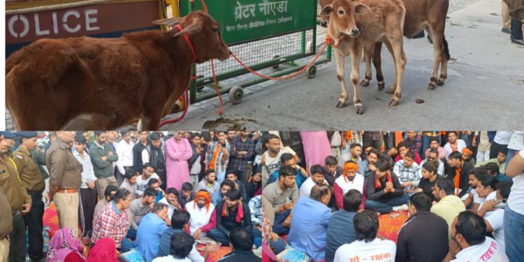 ग्रेटर नोएडा प्राधिकरण गेट पर सेव एनिमल टीम का जोरदार प्रदर्शन, घायल गोवंश के लिए नज़दीकी गौशाला की मांग