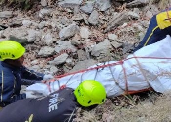 चंपावत में भीषण सड़क हादसा, बारात का वाहन खाई में गिरा, मां बेटे समेत 5 की मौत, 5 लोग घायल