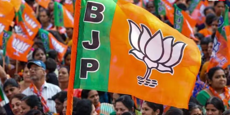 यूपी BJP अध्यक्ष पर दिल्ली में महामंथन, किसके नाम पर लगी मुहर, रविवार को होगा ऐलान